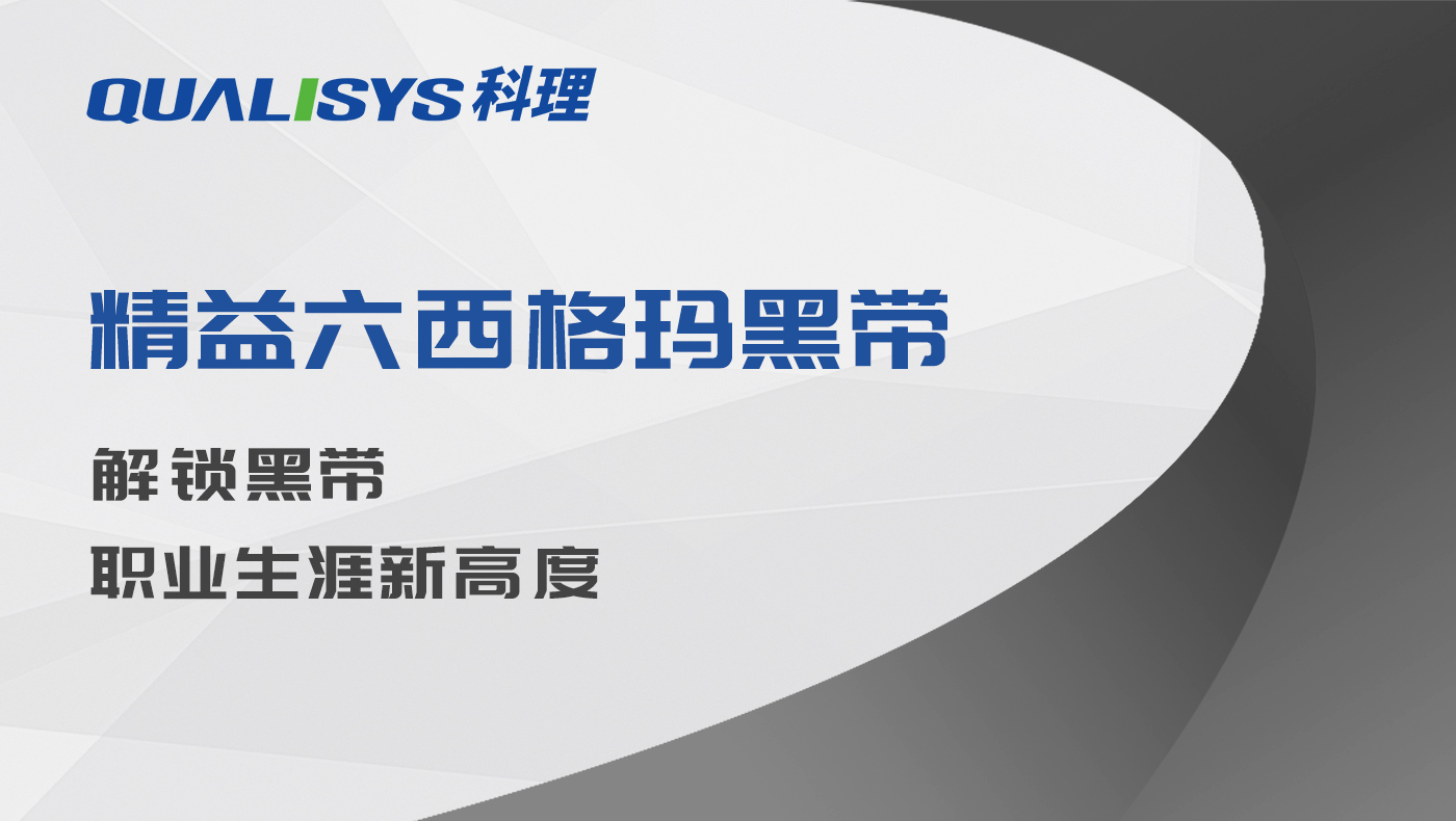 精益六西格玛黑带